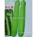 High Quality Good Taste Green Long Eggplant Seeds For Planting